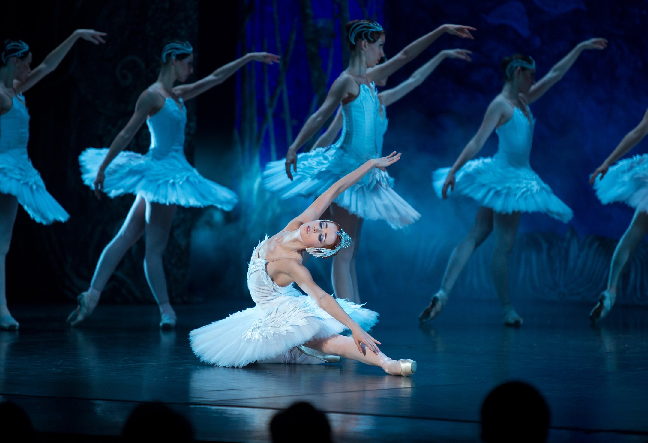 SwanLake_2160x1475px.jpg